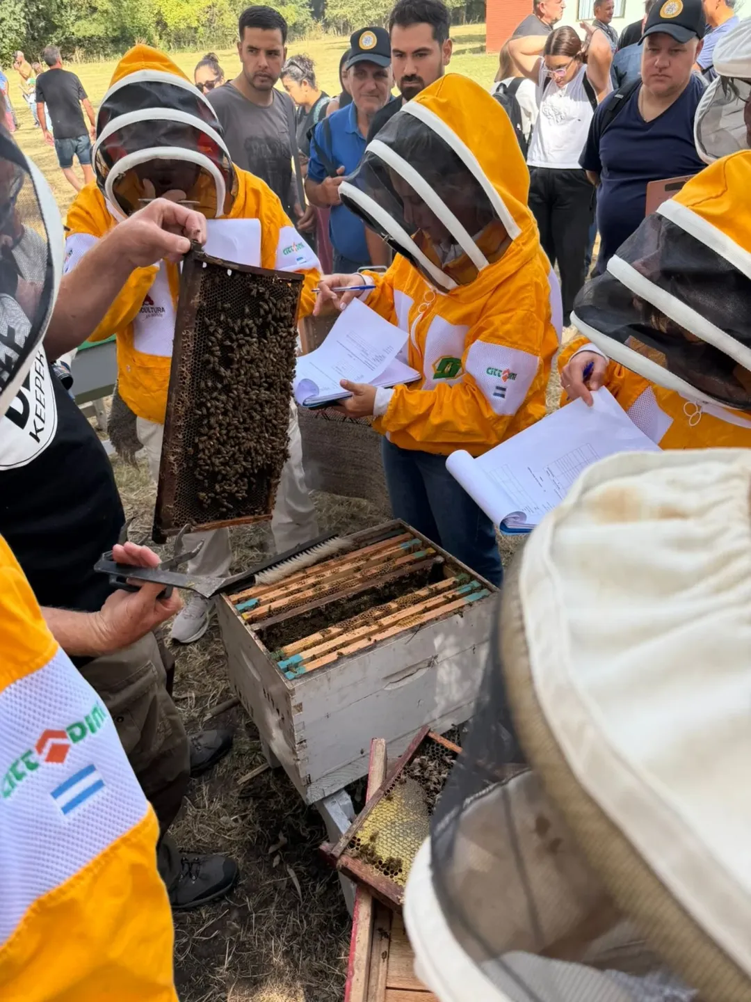 SaveClip.App_643545044_17896864470409303_7704004533540122332_n (1)