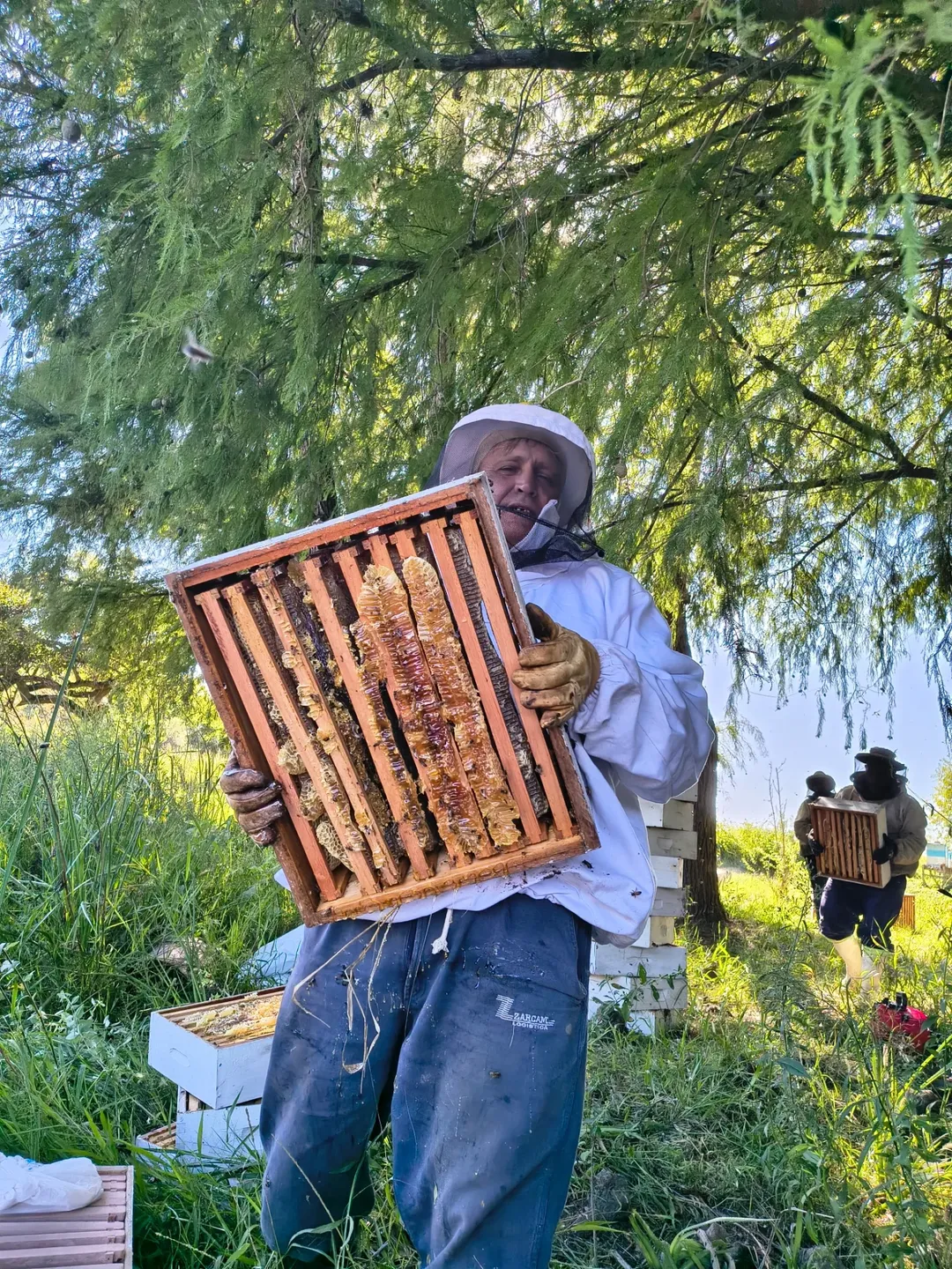 SaveClip.App_645715967_17895733437409303_6014861653226137731_n