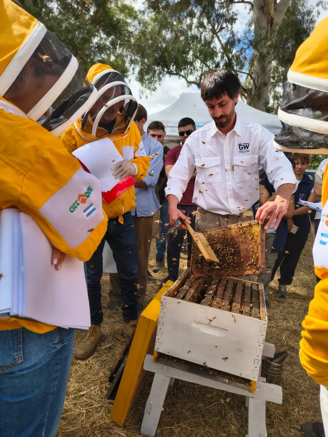 SaveClip.App_649024263_17896864452409303_1722334579785331473_n